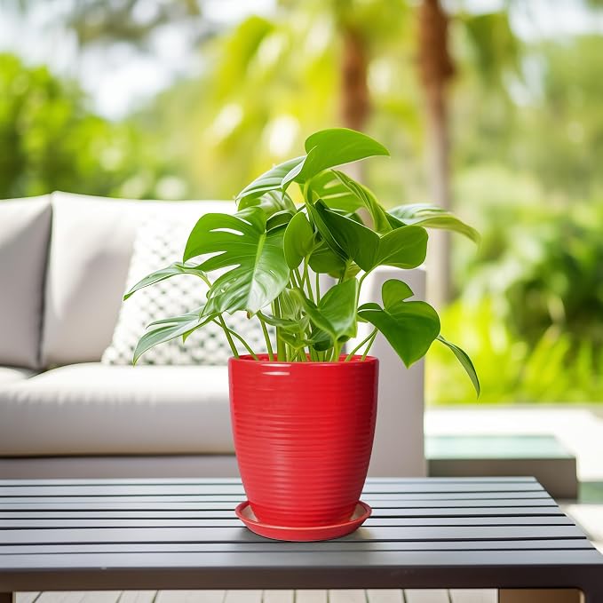 Ceramic Pot for Plants - Image 6
