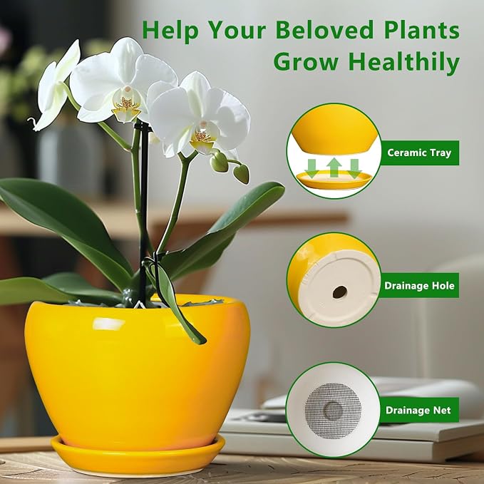 Ceramicfor Ceramic Pot for Plants - Image 5