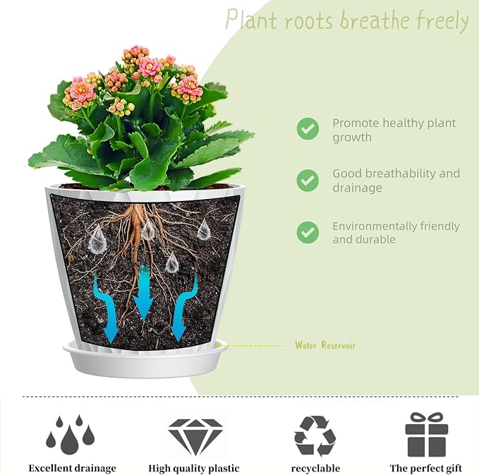 6 Inch Plant Pots, 6 Pack Indoor Flower Pots, Planters - Image 4