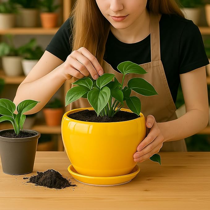 Deep Dream 8 Inch Plant Pots- Ceramic Pots - Image 6