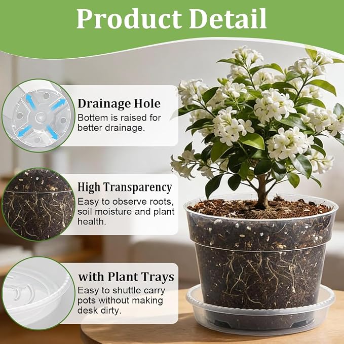 RooTrimmer 15 Pack 8/7/6 Inch Clear Nursery Pots - Image 3