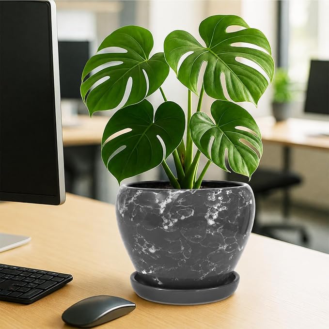 Deep Dream 8 Inch Plant Pots- Ceramic Pots - Image 4