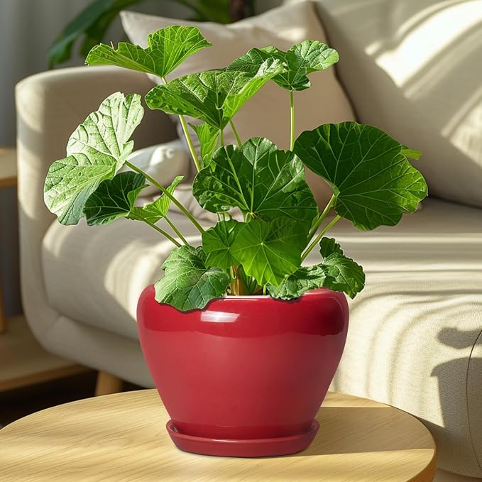 Ceramicfor Ceramic Planter for Indoor Plants 8 Inch - Image 7
