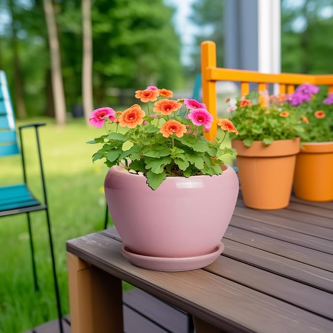 Ceramicfor 6 Inch Plant Pot - Image 4