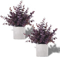 Coferset 2 Pack Small Fake Plants Eucalyptus Potted, Plum | Small Space by Coferset