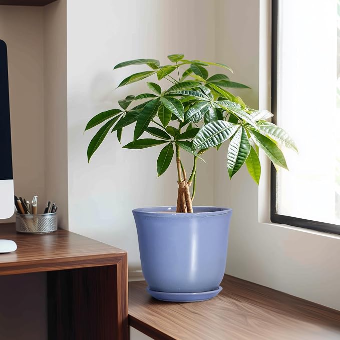 Ceramic Pots for Plants, 8 Inch Planter for Indoor, Modern Planter, Home Garden - Image 3