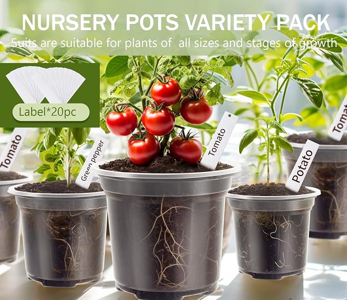 30 Pack Clear Nursery Plant Pots, 3.5/4/5 In - Image 4
