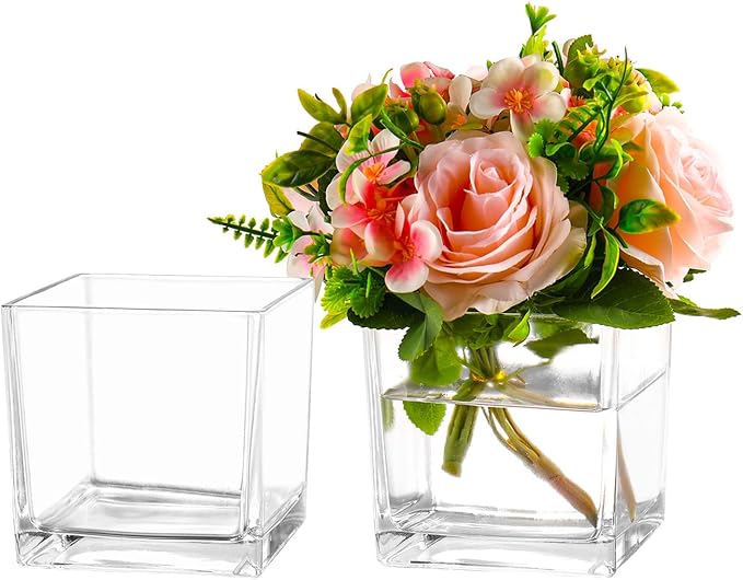 Square Clear Glass Vases Set of 2, Flower Vases by MARTAGE