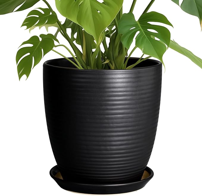 Ceramic Plant Pot 10 Inch by EPFamily
