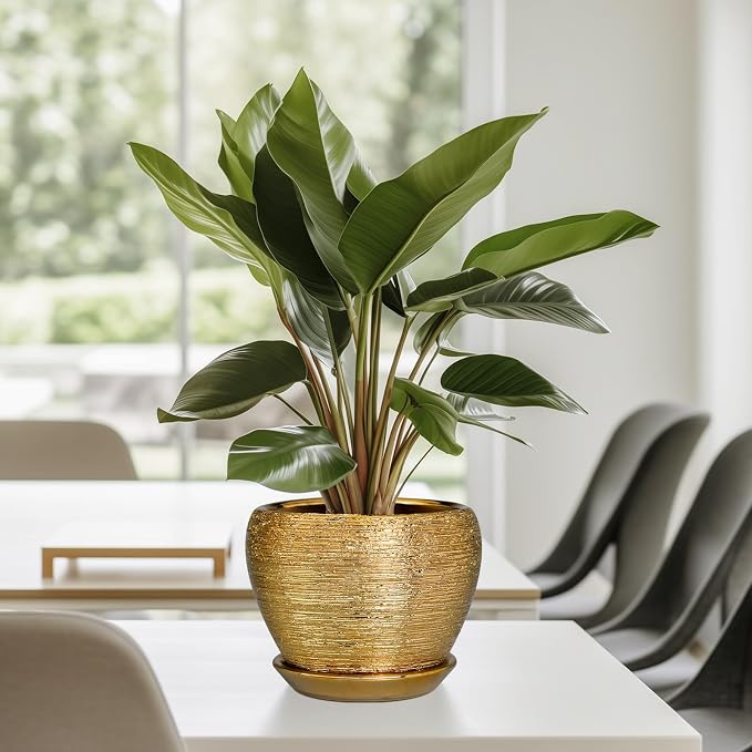 Ceramicfor Indoor Plant Pot 6 Inch - Image 8