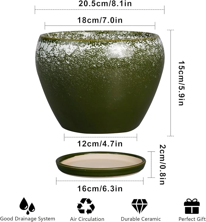 Ceramicfor 8 Inch Plant Pot - Image 3