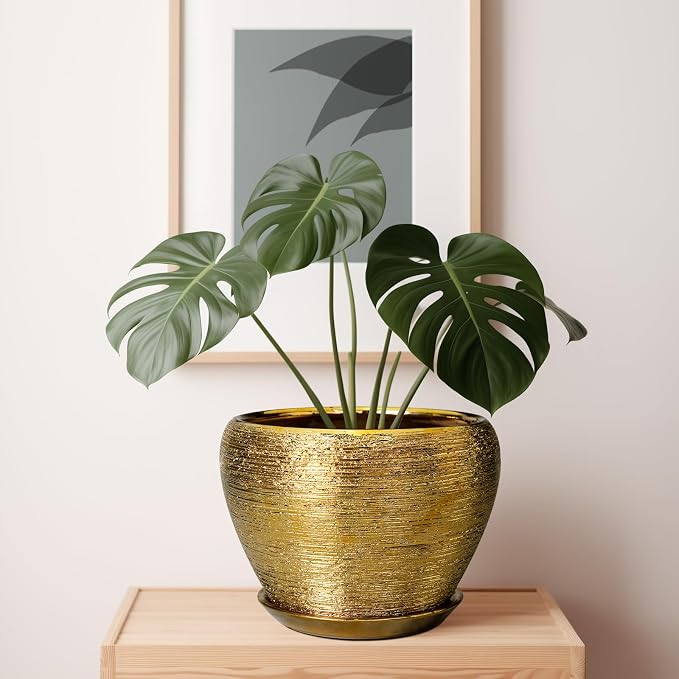 Ceramicfor Ceramic Planter 10 Inch - Image 6