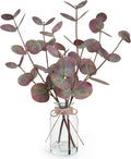 Bessol Artificial Eucalyptus Stems in Glass Vase by Bessol