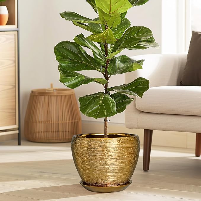 Ceramicfor Ceramic Plant Pot 8 Inch - Image 5