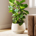 LE TAUCI 12 Inch Pots for Plants, Ceramic Planter by LETAUCI