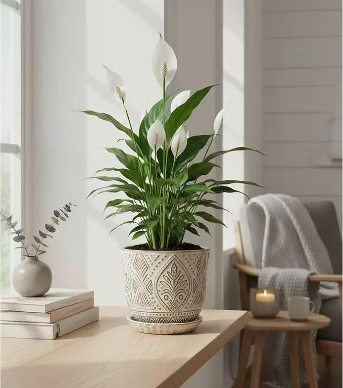 Gepege Ceramic Plant Pots, 6 Inch Indoor Planters - Image 6