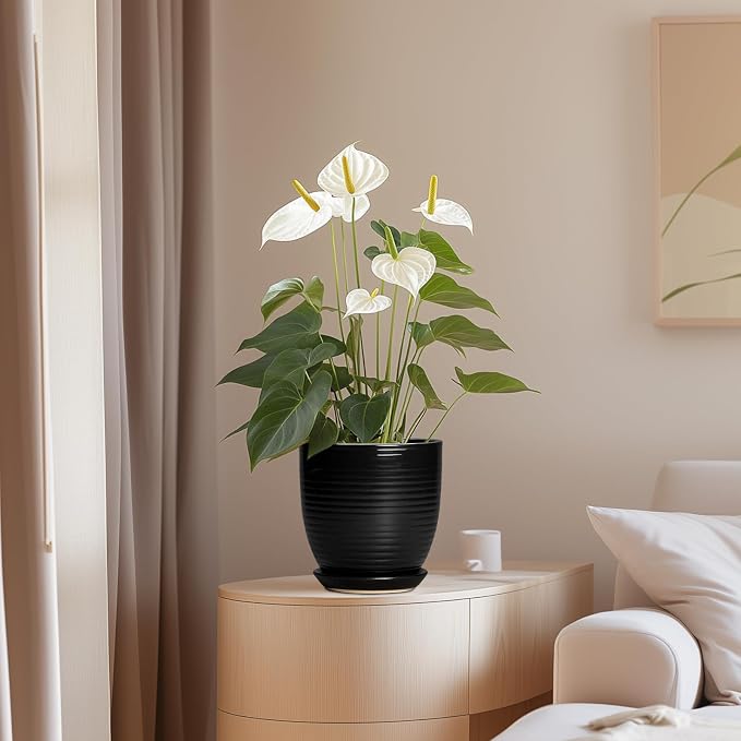 6 Inch Plant Pot - Image 8