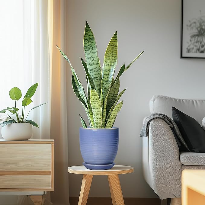 6 Inch Ceramic Pots for Plants - Image 5