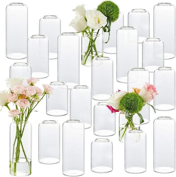 Glass Bud Vases Set of 24, Small Vases by GNILLKO