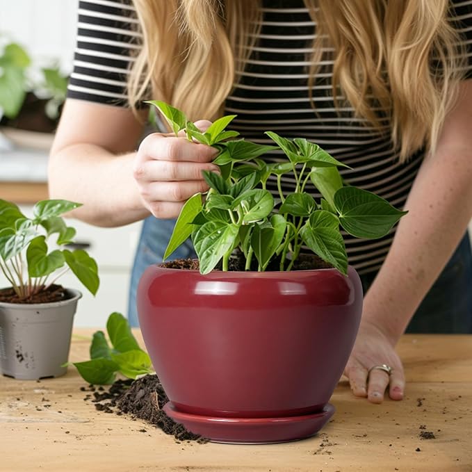 Ceramicfor Ceramic Pot for Plants - Image 7