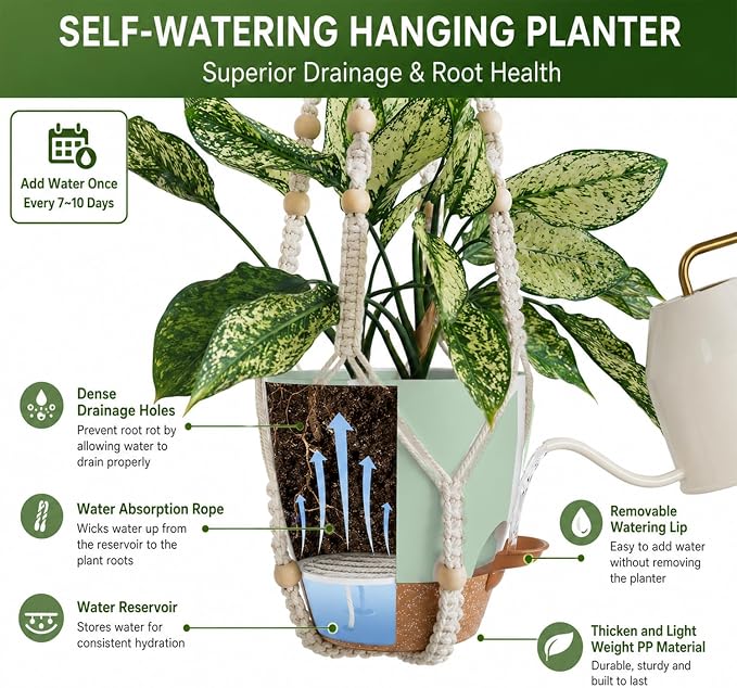 Bouqlife Self Watering Hanging Planters - Image 4