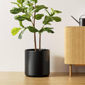 LE TAUCI 12 Inch Pot for Plants, Ceramic Planters for Indoor Plants, by LETAUCI