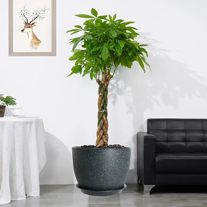 UOUZ 12inch Large Plant Pot, Modern Plastic Planter - Image 6