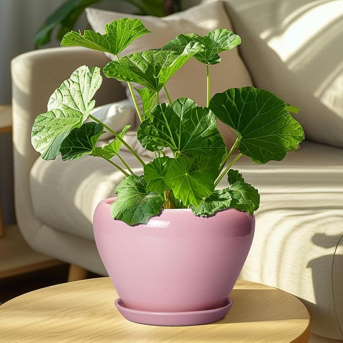Ceramicfor Ceramic Modern Glaze Succulent Planter Pot - Image 7