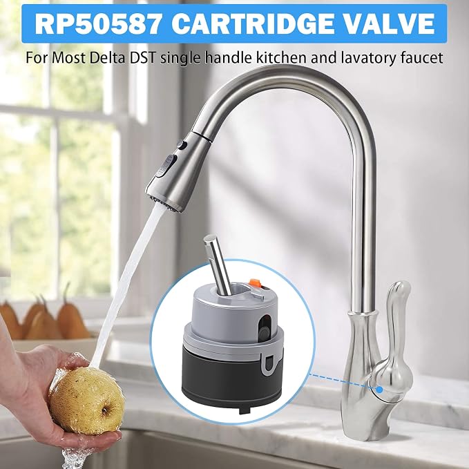 RP50587 Cartridge Valve Replacement - Image 2