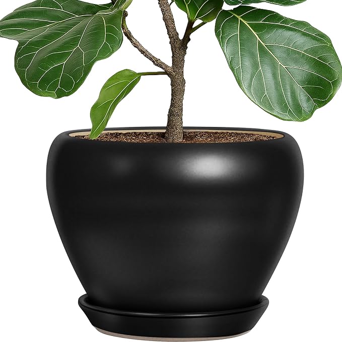 Deep Dream 10 Inch Plant Pot- Ceramic Planter Pot Round Plant Pots by DeepDream