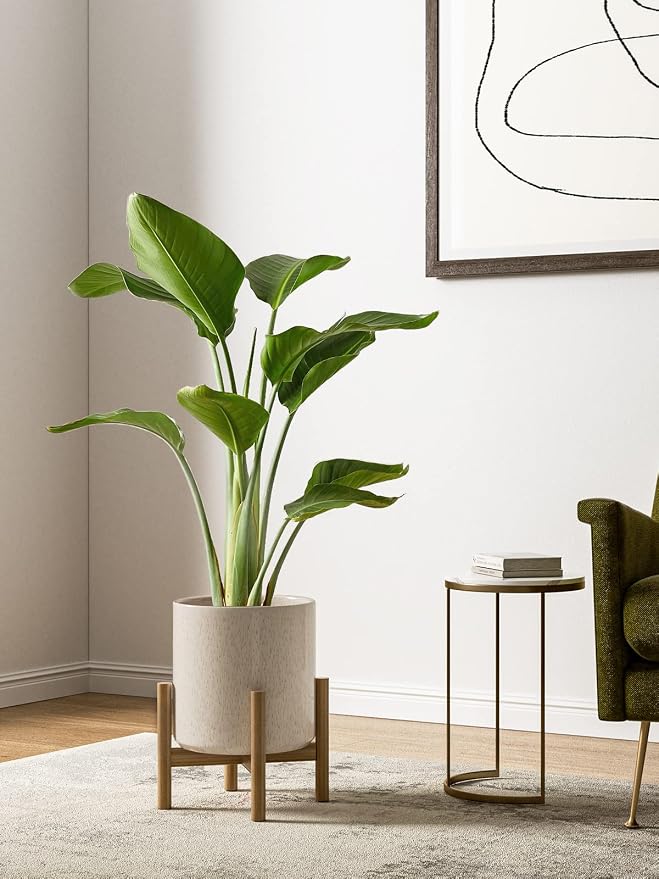 LE TAUCI 10+8+6 Inch Ceramic Pots - Image 2