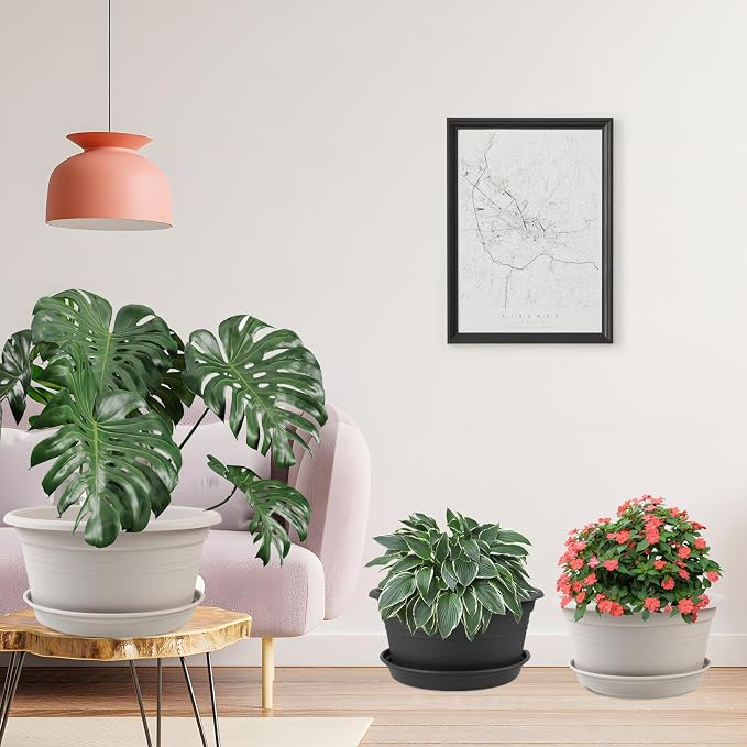 6 Pack 10 inch Plant Pot, Shallow Planters - Image 7