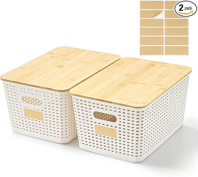 2 Pack Tall Plastic Storage Bins by Bagnizer