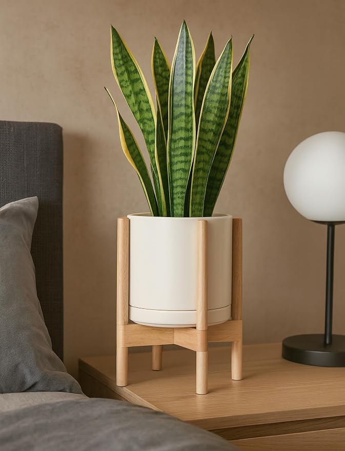 D'vine Dev Ceramic Pot with Natural Wood Stand, 10 in, 55-B-K-8 | Mid-Century - Image 7