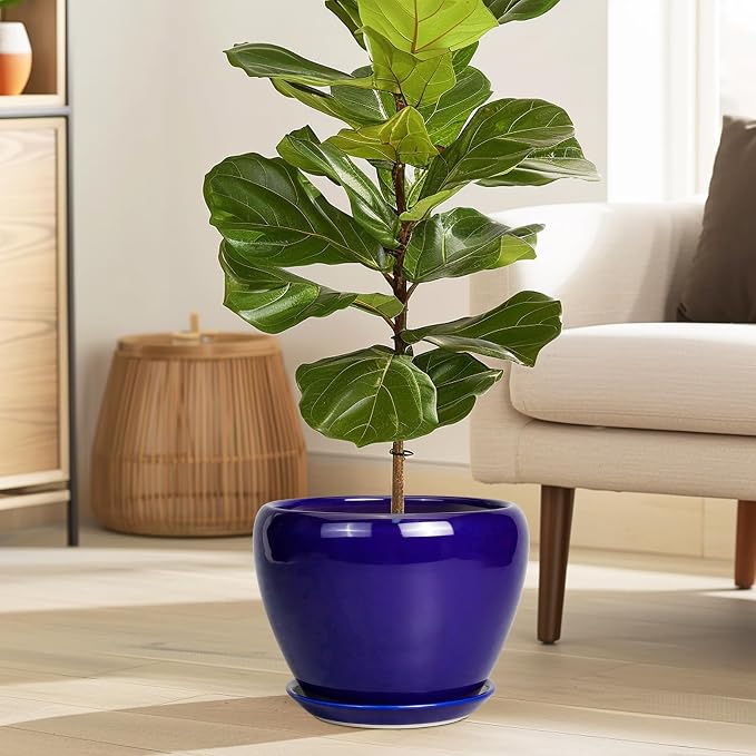 Ceramicfor Ceramic Plant Pot 8 Inch, Planter - Image 2