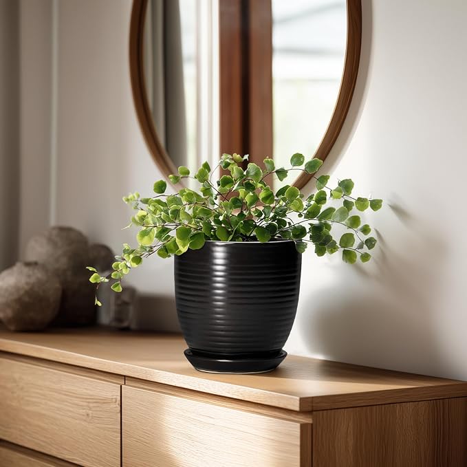 6 Inch Plant Pot - Image 3