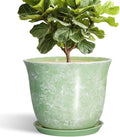 12 Inch Pots for Plants by SUNPOTFOR