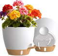 Self Watering Pots with Drainage Holes, 2 Pack 8 Inch Plant Pots with Water by KUGAZ