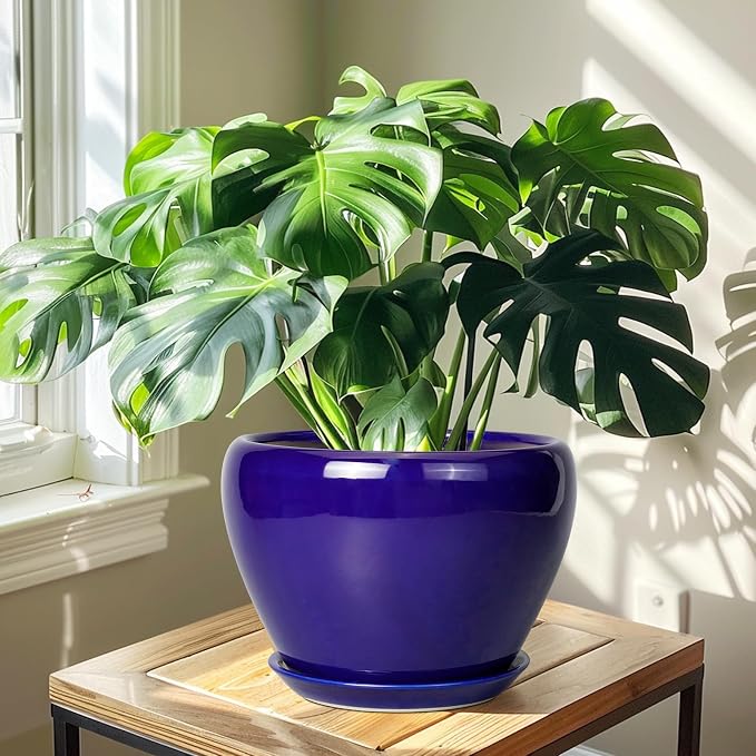 Ceramicfor Ceramic Planter 10 Inch, Indoor Plant Pot - Image 5