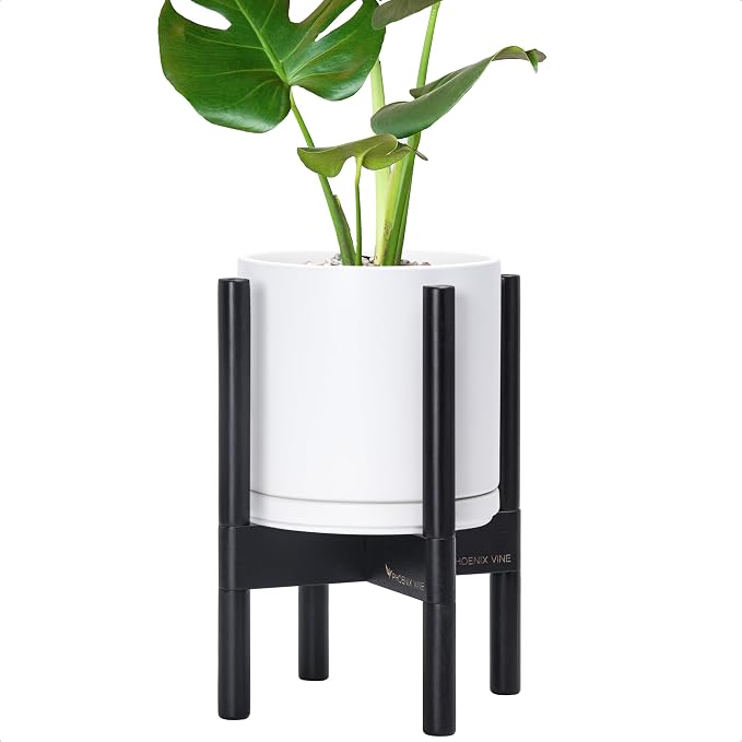 D'vine Dev Ceramic Pot with Ebony Wood Stand, 8 in, 55-B-M-1 | Mid-Century by DvineDevPlanterPotsandStand