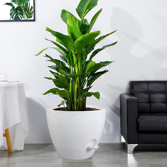 UOUZ 12 inch Large Self Watering Pots, Plastic Planters - Image 6