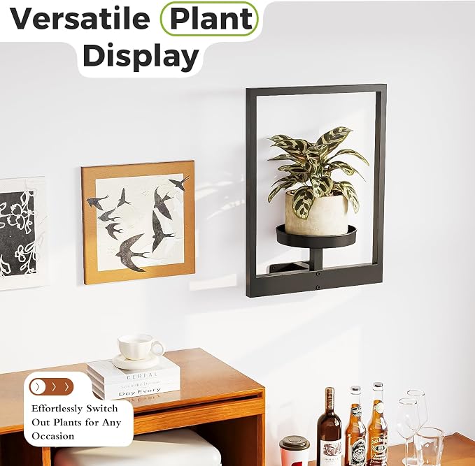 Bamworld Wall Plant Holder Plant Stand Indoor Wall Planters Black | Wall - Image 3