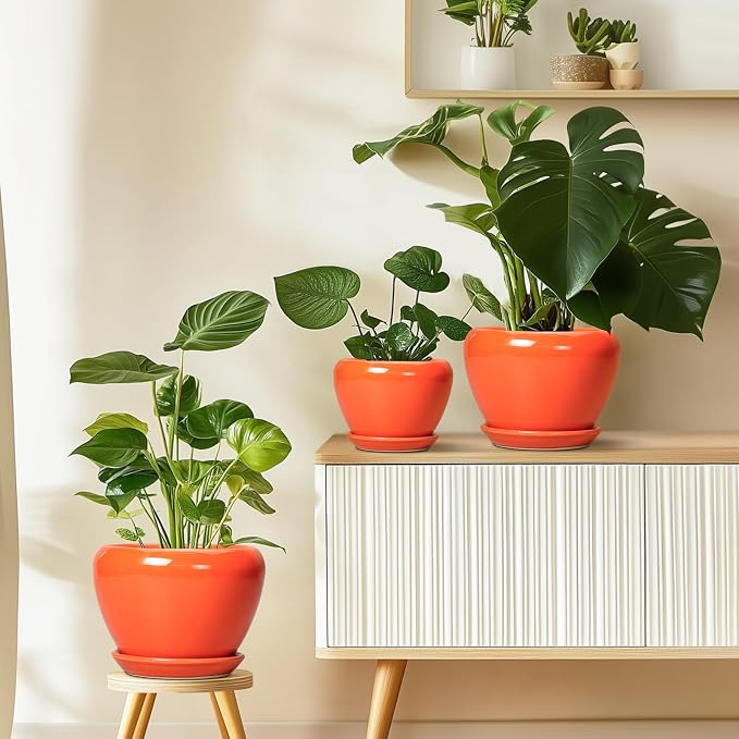 Ceramicfor Indoor Plant Pot 8 Inch - Image 8