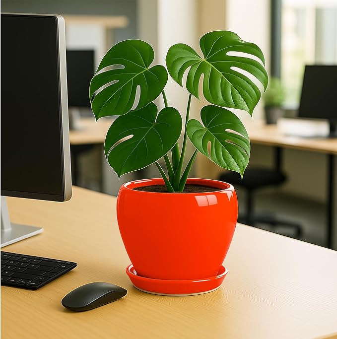 Deep Dream 8 Inch Plant Pots- Ceramic Pots - Image 4