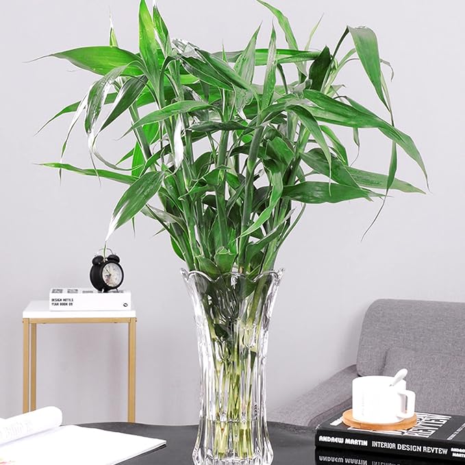 Dicunoy Set of 2 Glass Flower Vase, 9.5" Large Flower Vases - Image 9