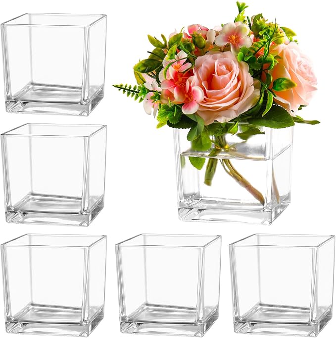 Square Clear Glass Vases Set of 6, Square Vase by MARTAGE