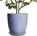 10 Inch Plant Pot by EPFamily
