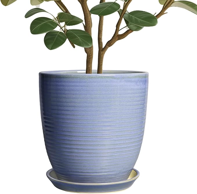 10 Inch Plant Pot by EPFamily