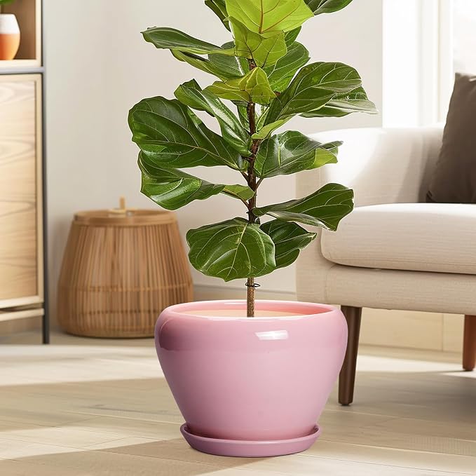 Ceramicfor 10 Inch Plant Pot - Image 2