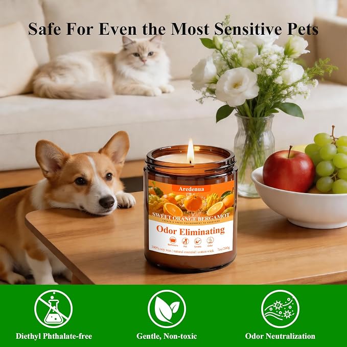 4-Pack Odor Eliminating Candles, 28 oz Soy Scented Candle | Eliminates 95% of - Image 5